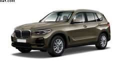 BMW X5 2019 BEIGE METALLIC