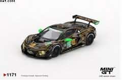 CHEVROLET Corvette Z06 GT3.R N°13 AWA 24H Daytona 2025 
O. Fidani M. Bell L. Kern