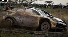 TOYOTA GR Yaris Rally1 N°5 TOYOTA GAZOO RACING WRT 
4th Rallye Safari 2025 S. Pajari M.