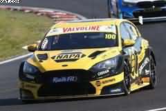 FORD Focus N°100 NAPA Racing UK Brands Hatch 
Indy BTCC2025 100Years of NAPASutton500LTD
