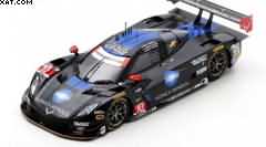 CHEVROLET CORVETTE DP N°10 WAYNE TAYLOR RACING 
WINNER PETIT LE MANS 2014  300