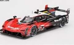 CADILLAC V-Series.R N°31 Whelen Cadillac Racing 
2ND 24H Daytona 2024