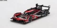 ACURA ARX-06 GTP N°40 WAYNE TAYLOR RACING WINNER
12H SEBRING 2024